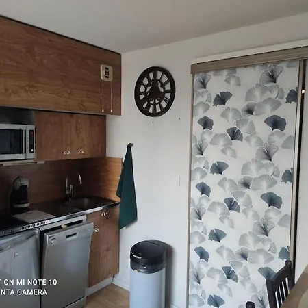 Beau Cozy Apartment